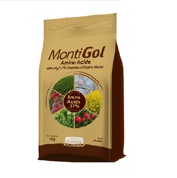 اسید آمینه مونتی گل گرونبرگ