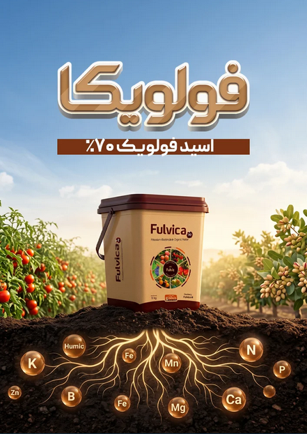 اسید فولویک فولویکا 70 گرونبرگ